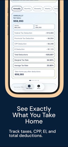 Net Salary screenshot