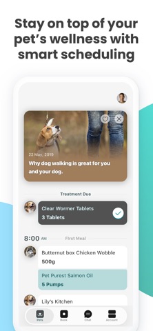 Catzonia screenshot