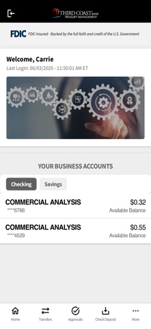 TCB Treasury Screenshot 2 of 6