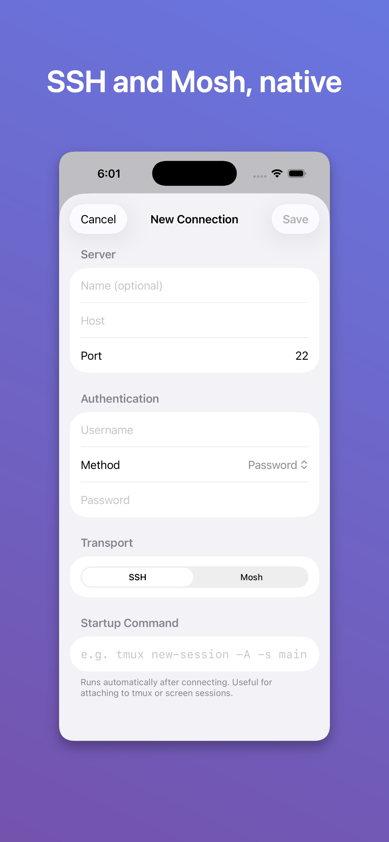 Spectty: Terminal screenshot 3