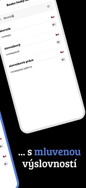 Ruský slovník offline screenshot 3
