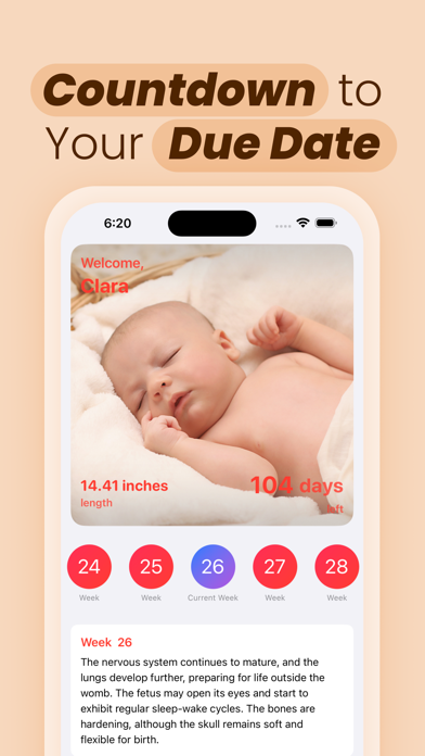 Week by Week Pregnancy Tracker Screenshot