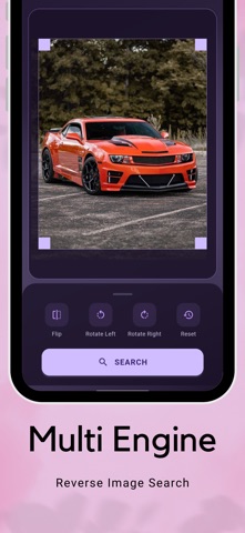 Image Search Pro HD Downloader screenshot
