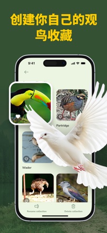 Bird Identifier: Song ID screenshot