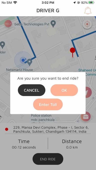 Driver G Screenshot