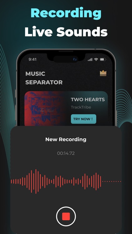 Music Separator: Remove Vocals screenshot-3