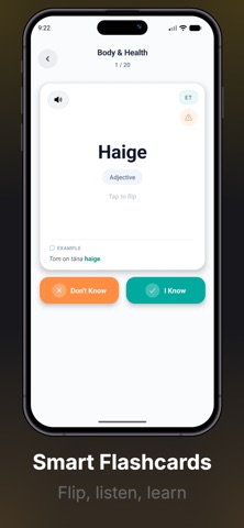 Lingo Wings Screenshot 4 of 8