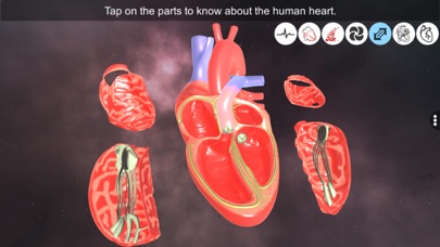 Heart - An incredible pump Screenshot
