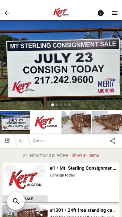 Kerr Auction Screenshot