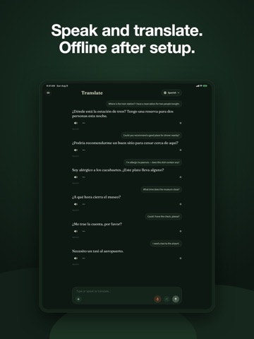 Translate & Learn Languages iPad screenshot