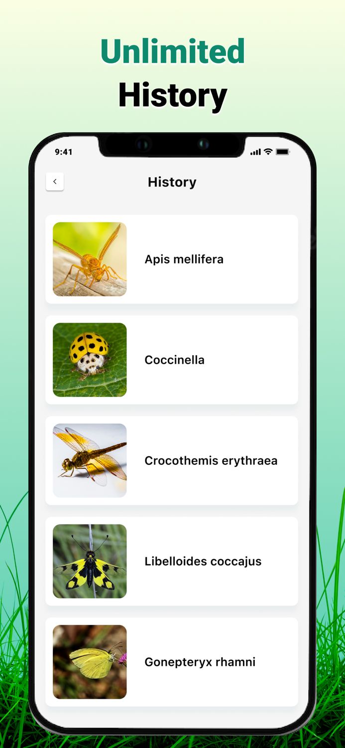 Insect, Bug, Spider Identifier