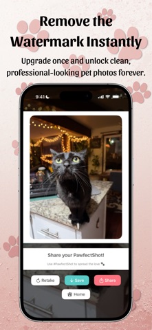 Pawfect Shot screenshot