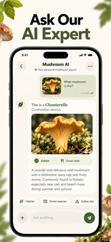Mushroom Identifier: Mycore screenshot 5