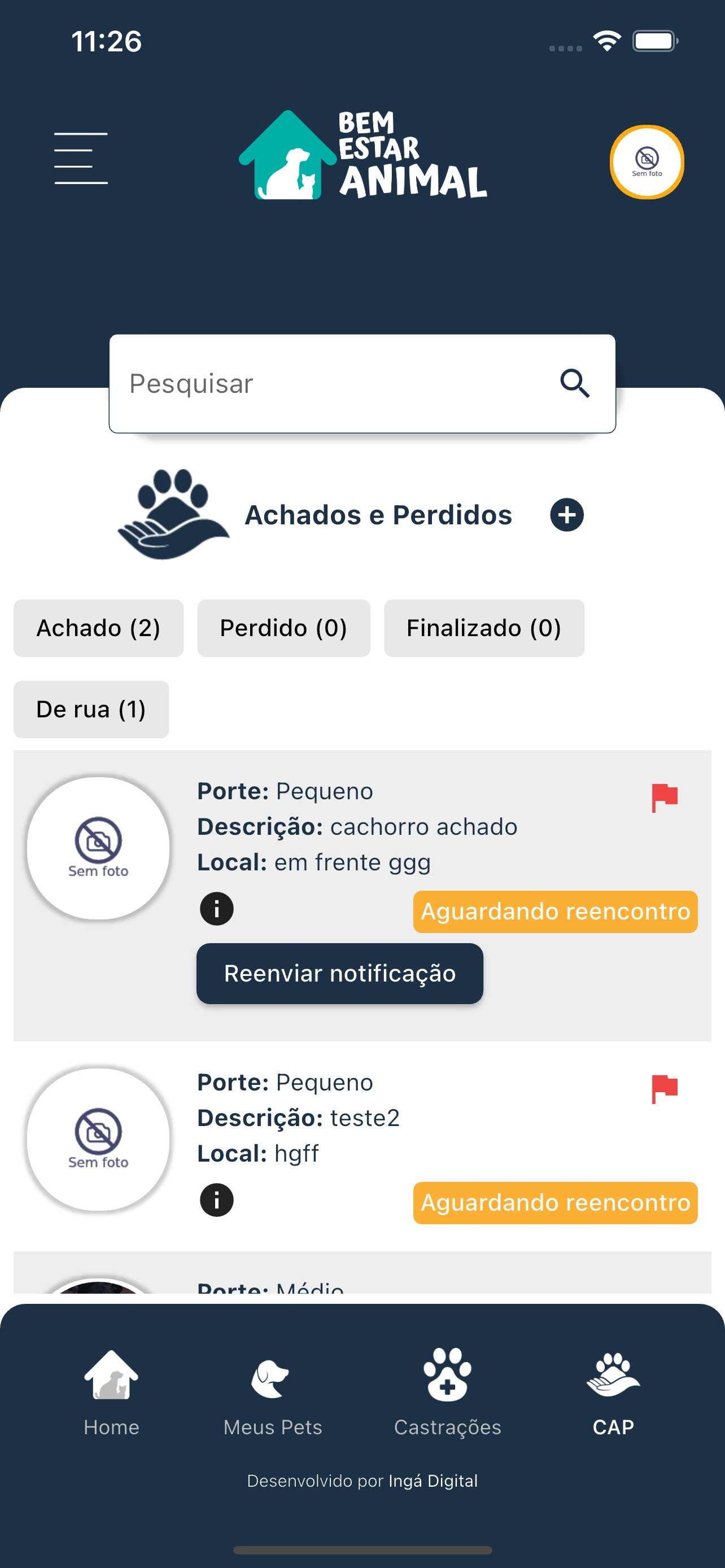 Bem Estar Animal