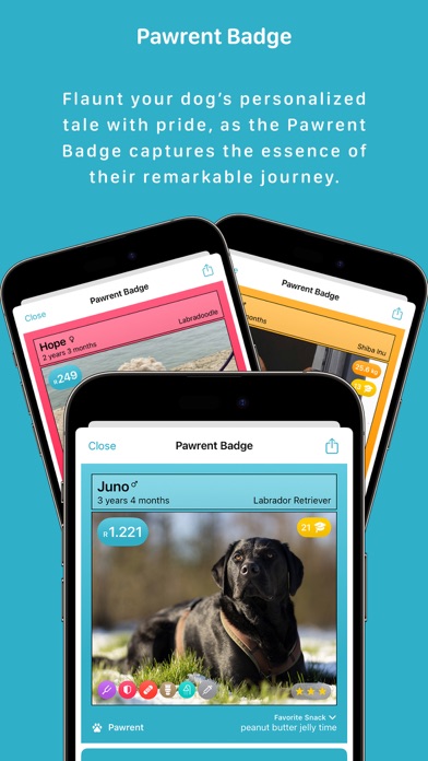 Dog Care Assistant - FurPal Screenshot