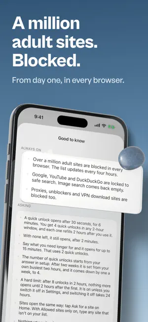 SlowPebble: AI Website Blocker screenshot 4