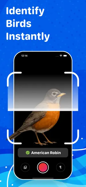Bird Identifier: ID by Photo screenshot 2