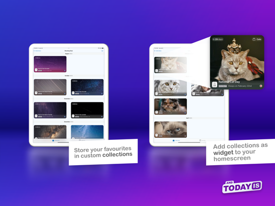 Screenshot #5 pour And Today Is