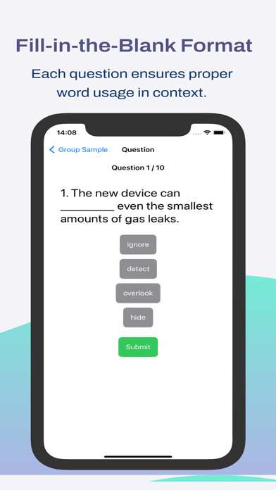 Vocabulary Test Screenshot