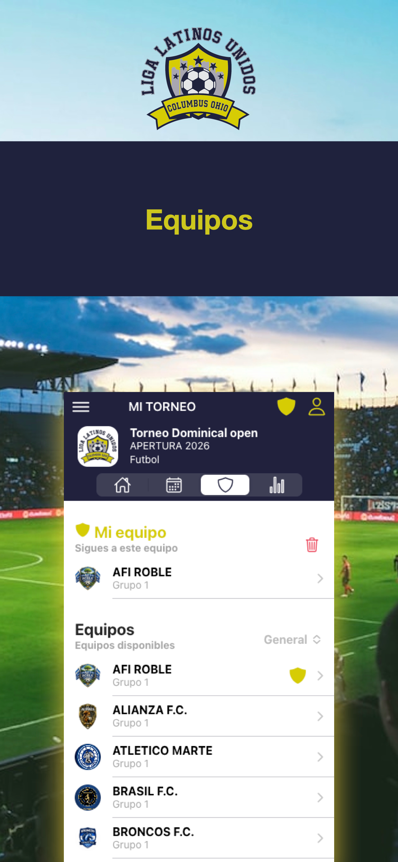 Liga Latinos Unidos screenshot 4