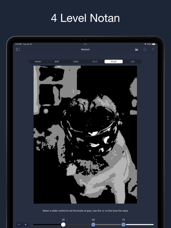 NotanIzer iPad app afbeelding 6