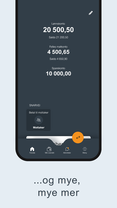 Nidaros Mobilbank Screenshot