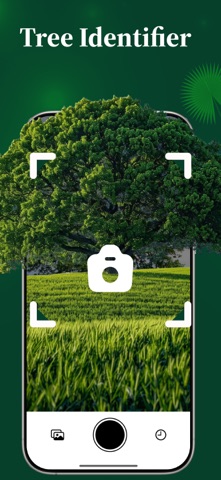 Tree Identifier゜ Screenshot 1 of 5