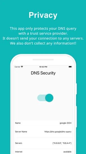 DNS Security iPhone Ekran Görüntüsü 4