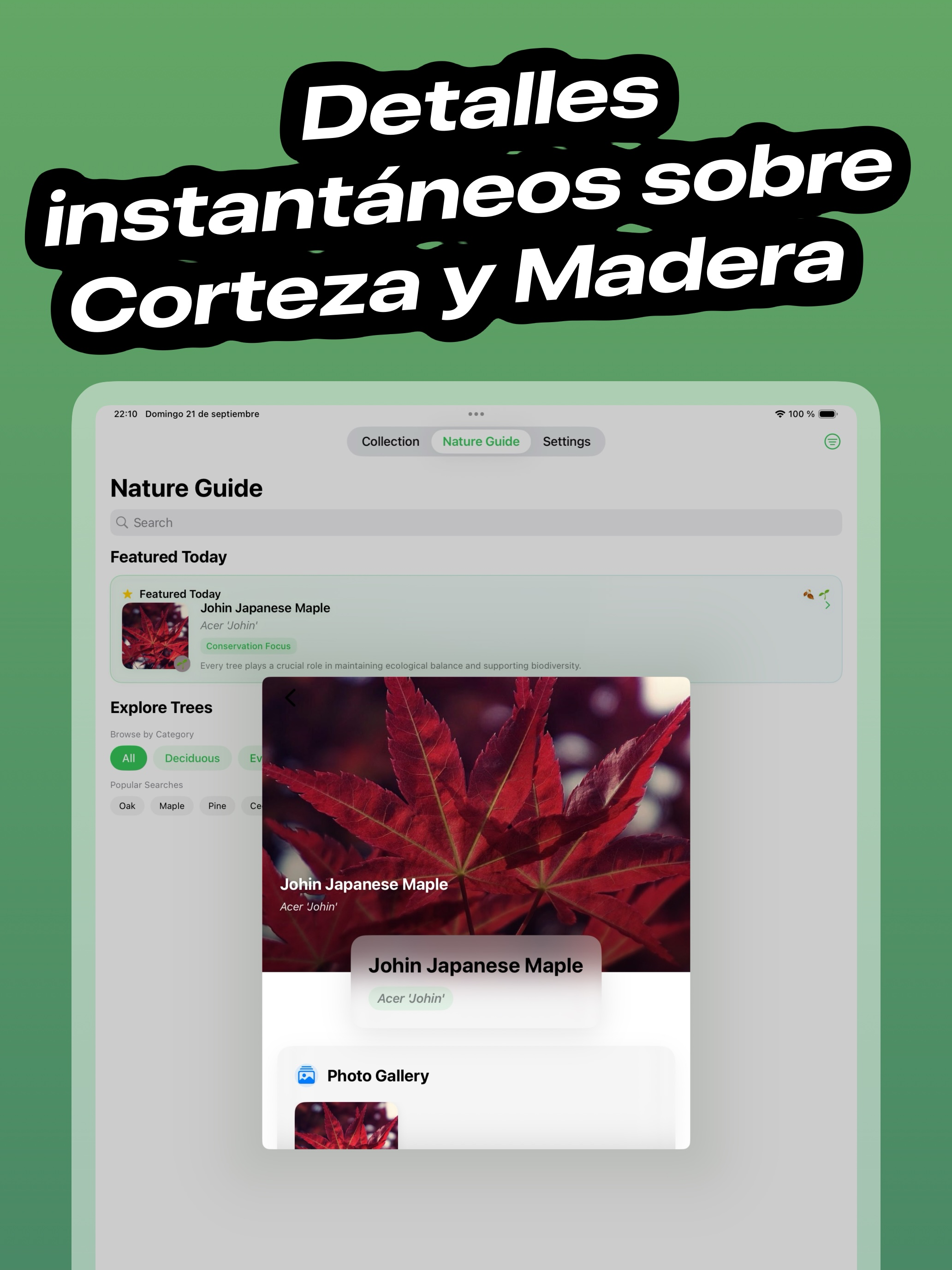 https://is1-ssl.mzstatic.com/image/thumb/PurpleSource211/v4/24/8a/bf/248abf12-6400-22df-211b-517342bdcc08/es-ES_display_13_02.jpeg/2064x2752.png