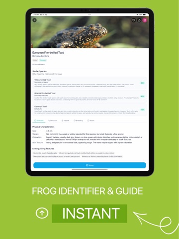 Frog Identifier AI