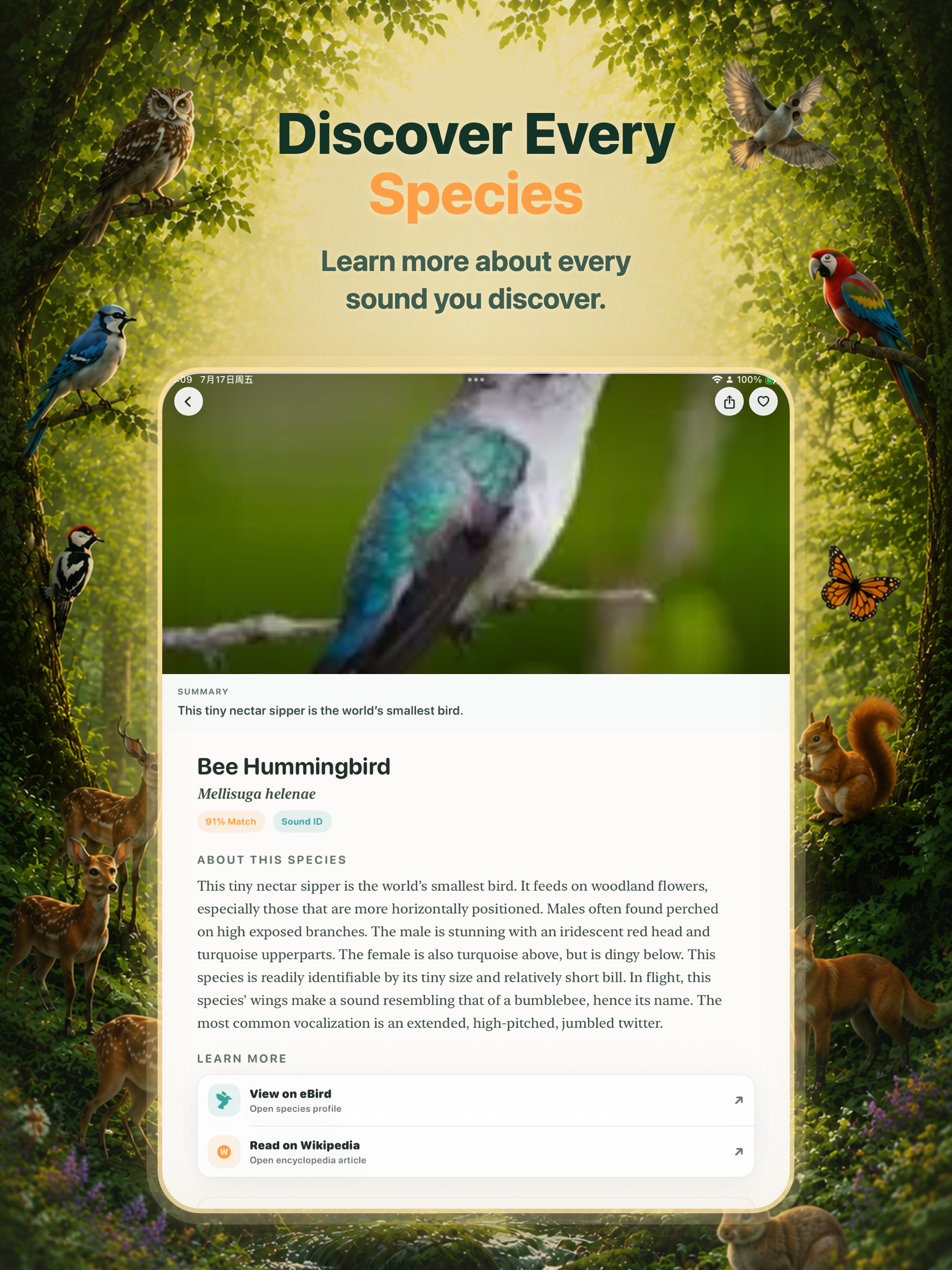 NatureEar - Offline Sound ID screenshot 9