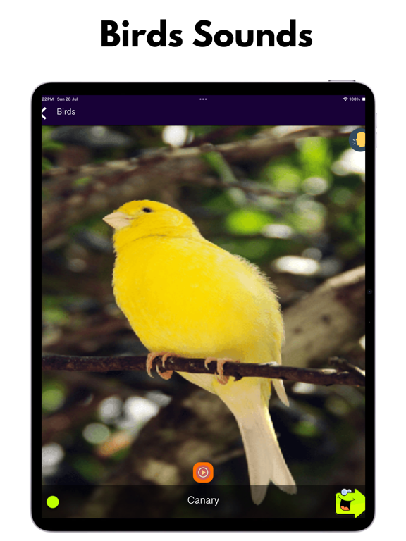 150+ Animal Sounds Lite iPad screenshot 9 - Entertainment app