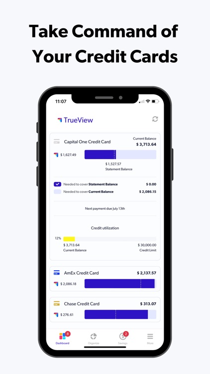 TrueView: Money Organizer screenshot-5