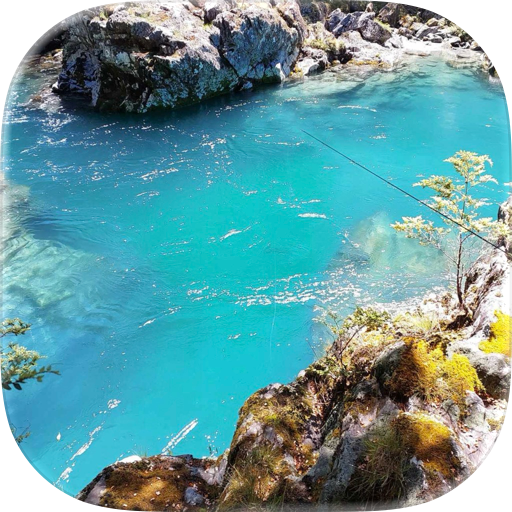 Freshwater Fishing NZ