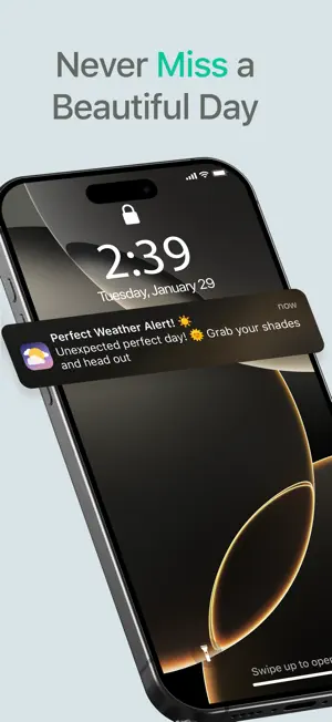PerfectDay - Warm Day Plans screenshot 1