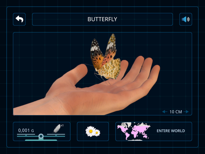 Bugs  Insects VR/AR Kid Game