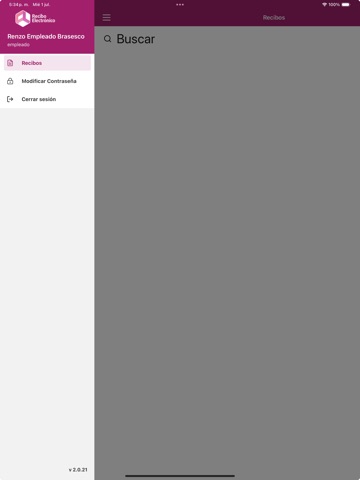 Recibo electrónico iPad screenshot