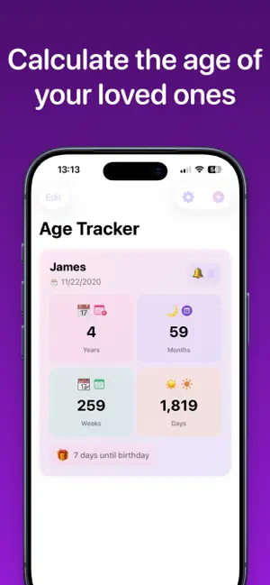 Age calculator widget screenshot 1