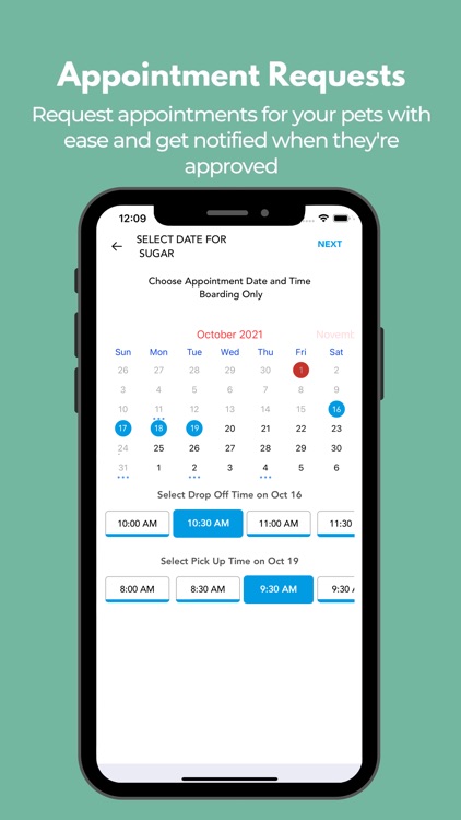 Happy Paws Pet Lounge