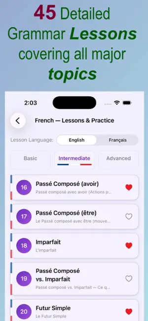 French Grammar - Intermediate screenshot 2
