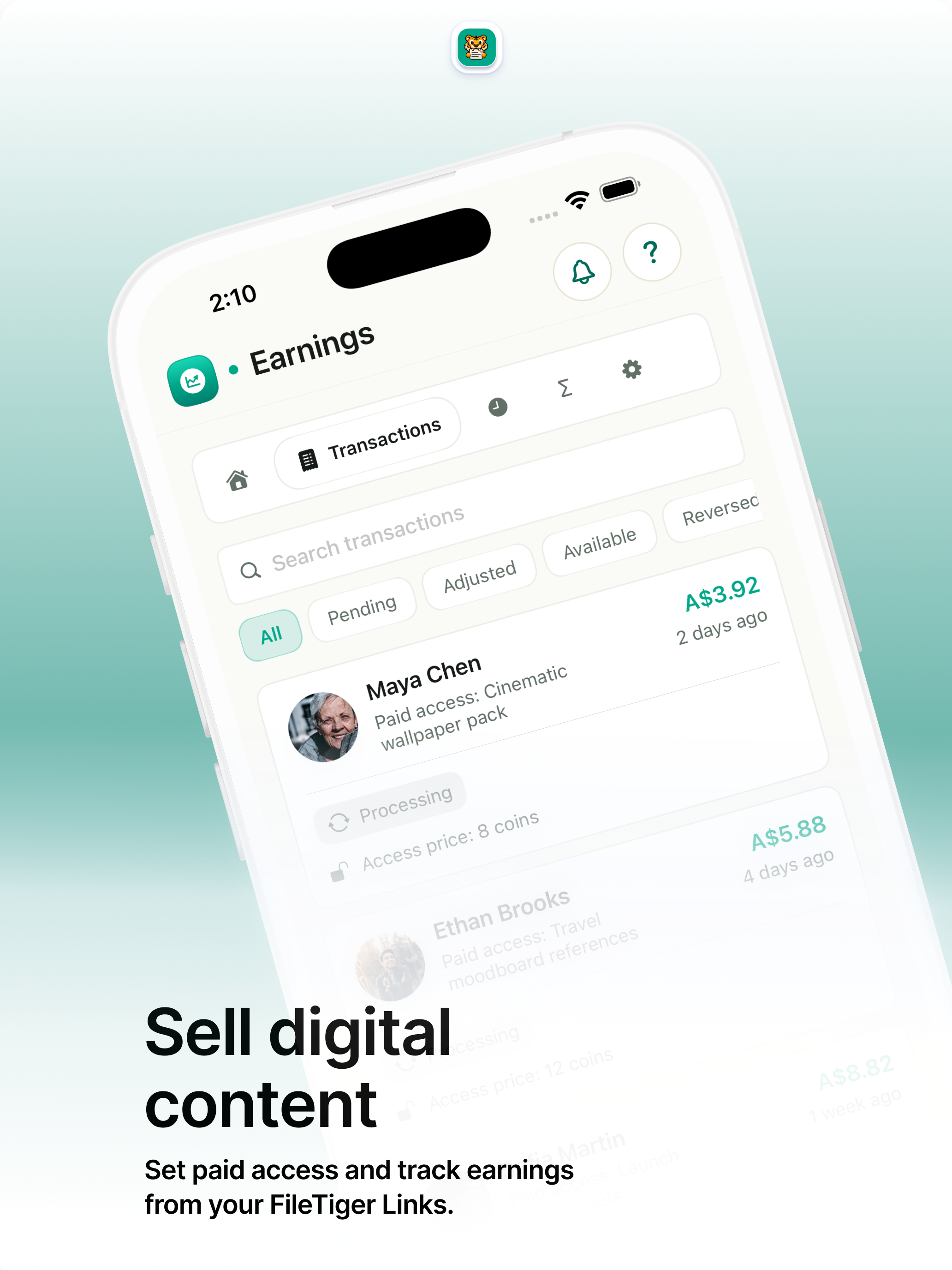 FileTiger screenshot 10