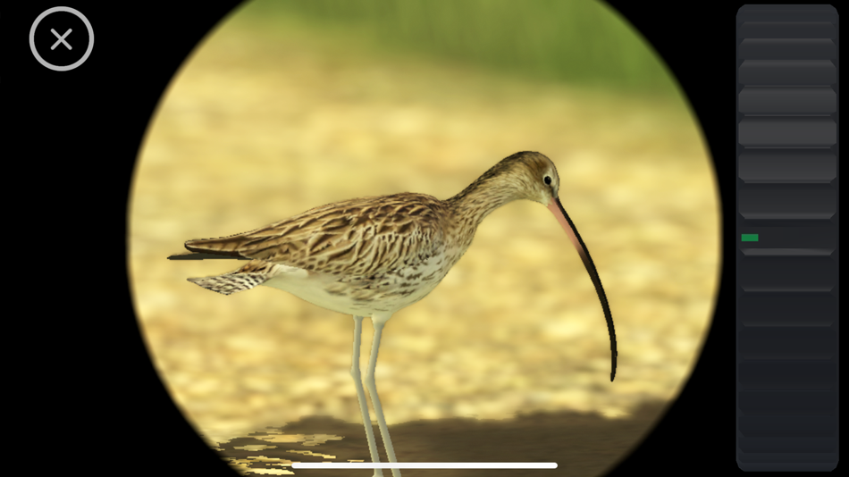 #5. World of Wings (iOS) 由: Vireo Development
