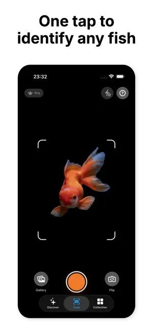 Fish Identifier: Fish Lens AI screenshot 1