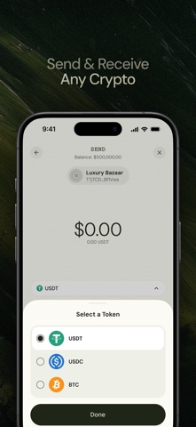 Fin: Business Crypto Payments screenshot