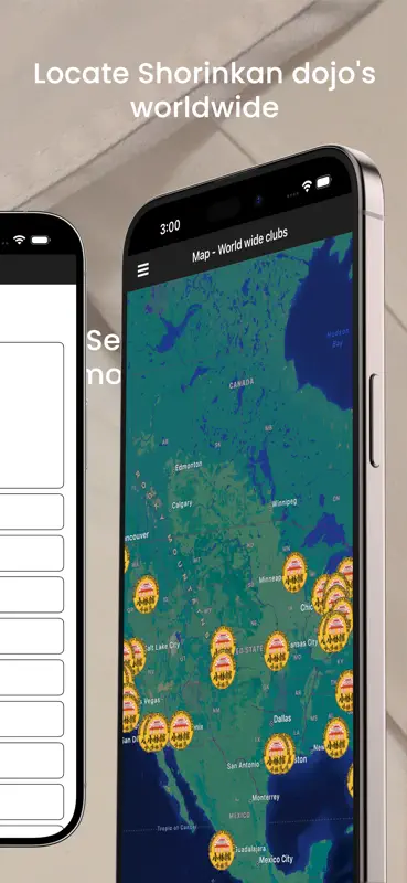 Shorin-Ryu Shorinkan Pro screenshot 5 of 5