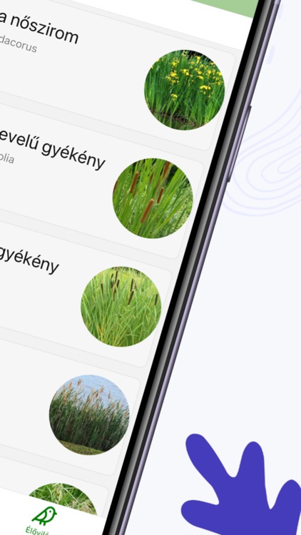 KisTiszAPP screenshot-4