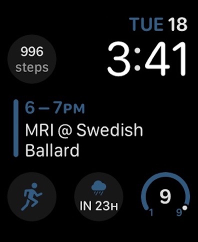 StepUp Pedometer Step Counter: official Apple Watch preview 3 (opens full image in a new tab)