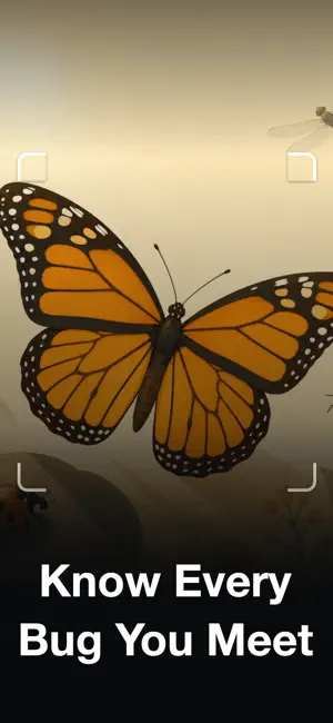 Bug Identifier・Insect ID screenshot 1