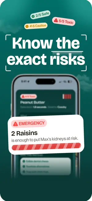 Puppii: Dog Safety Scanner screenshot 3