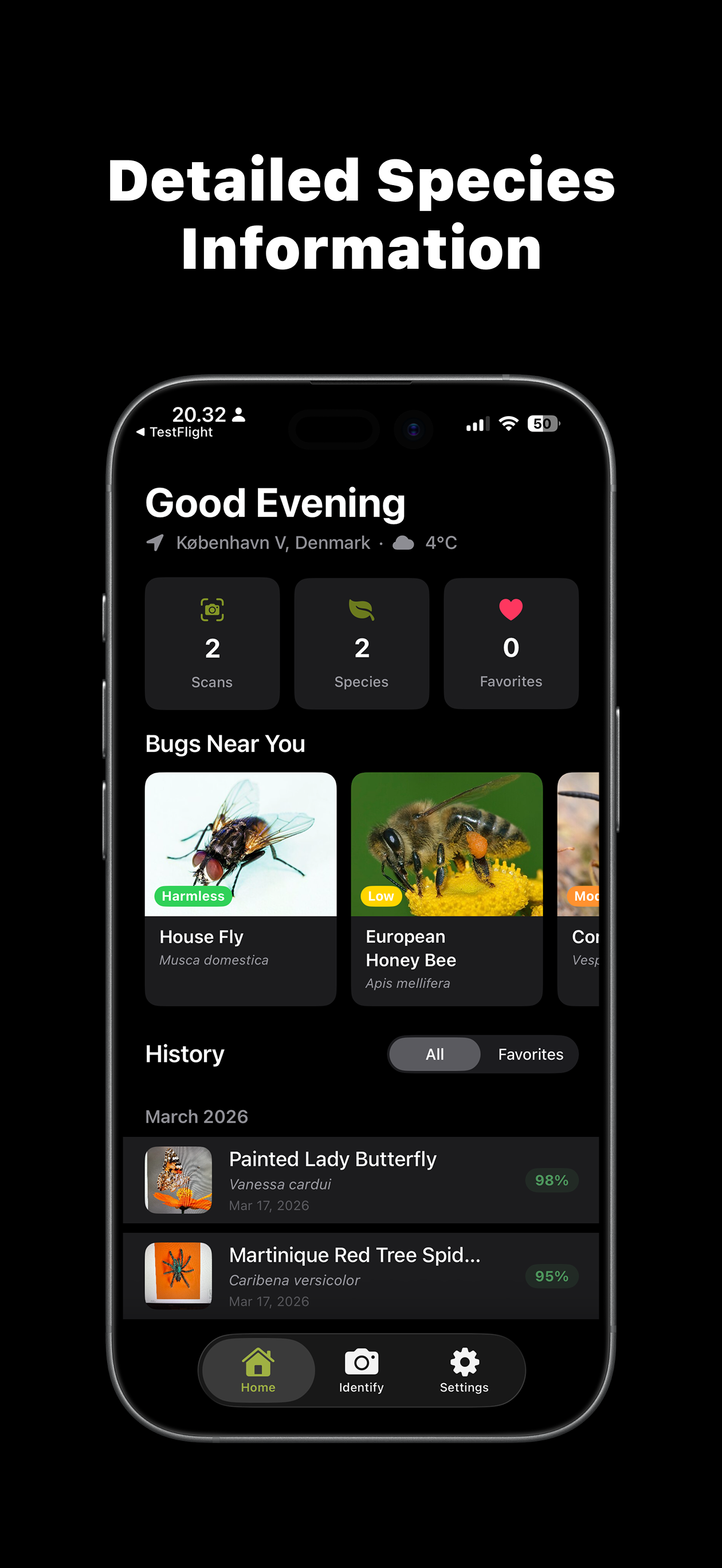 Bug Scan: Spider Identifier